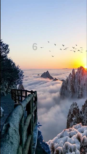 一山不容二虎？一只叫加湿，一只叫净化